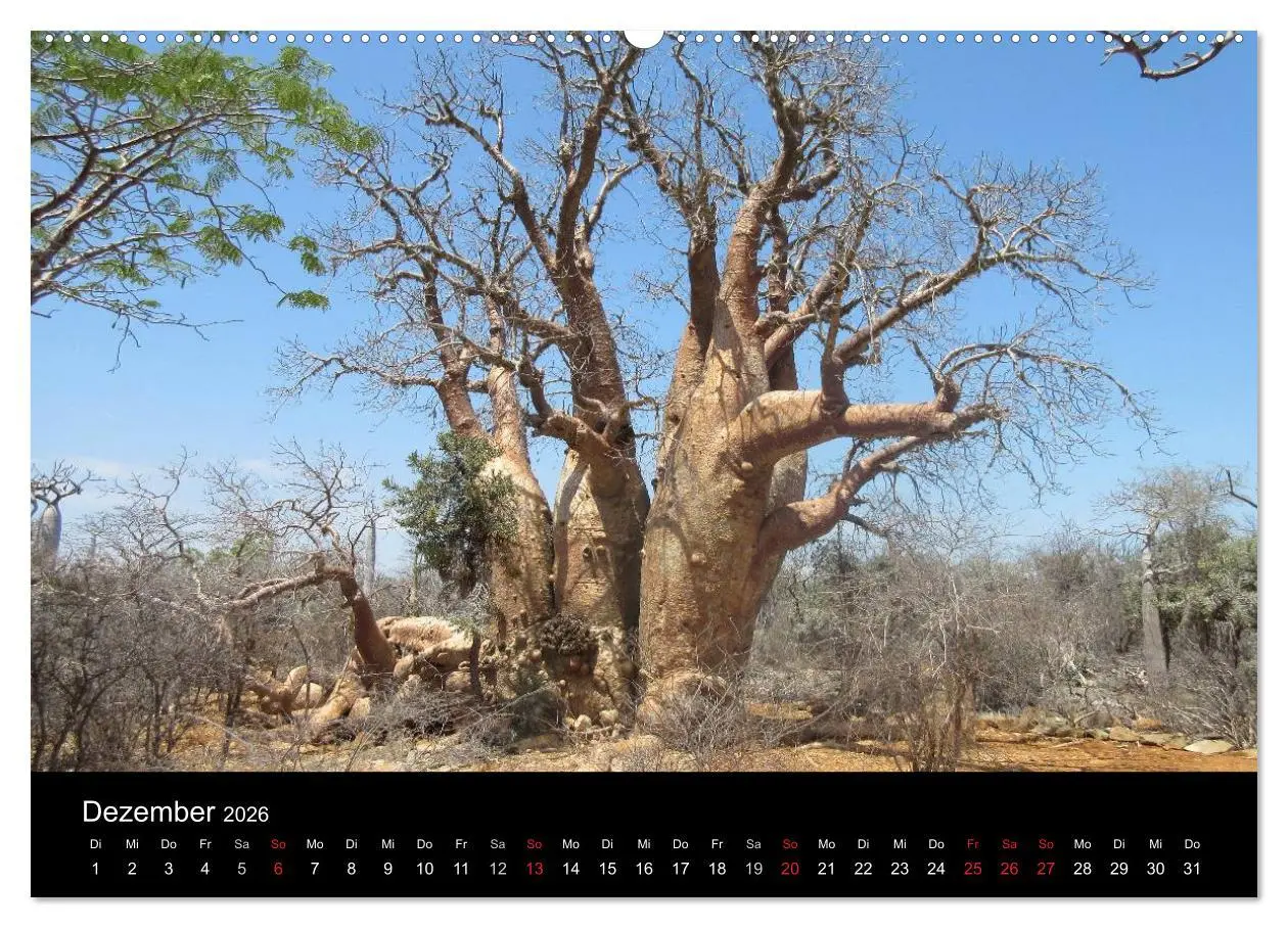 Bild: 9783457959022 | Abenteuer Madagaskar (hochwertiger Premium Wandkalender 2026 DIN A2...
