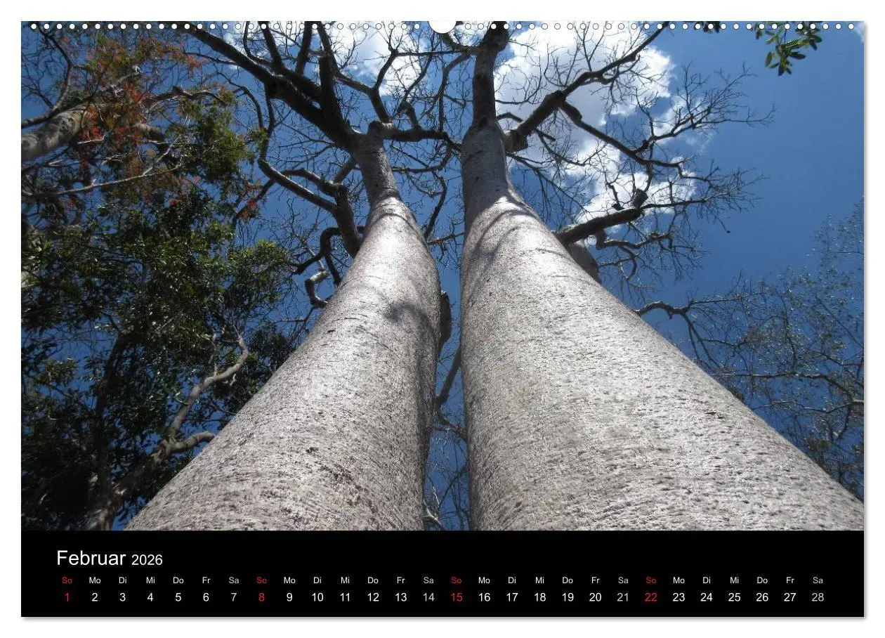 Bild: 9783457959022 | Abenteuer Madagaskar (hochwertiger Premium Wandkalender 2026 DIN A2...