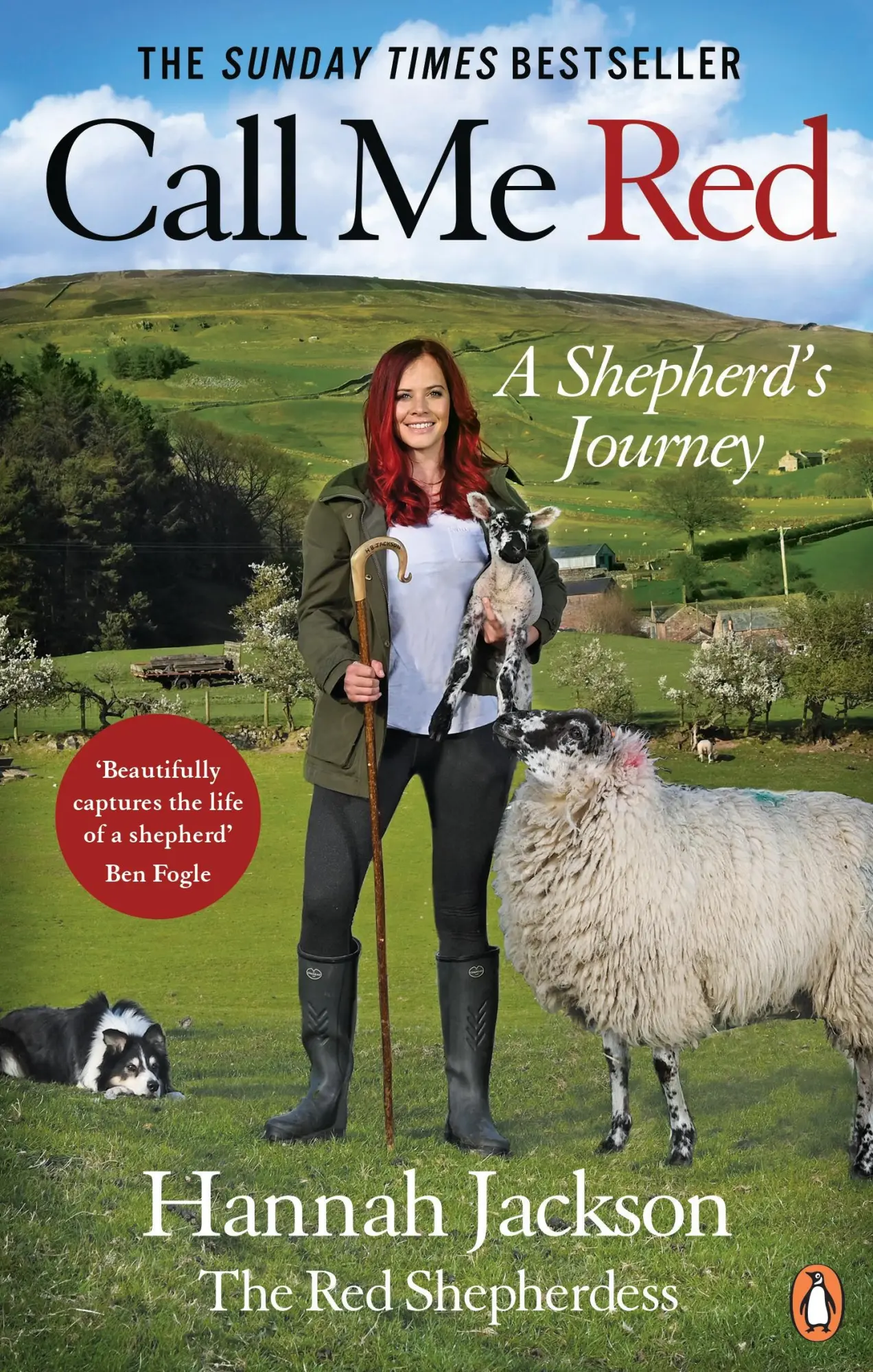 Cover: 9781529109122 | Call Me Red | Hannah Jackson | Taschenbuch | Kartoniert / Broschiert