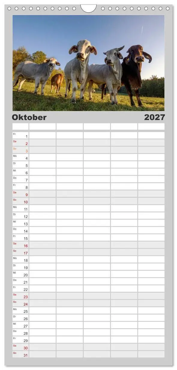 Bild: 9783594329122 | Familienplaner 2027 - Kuh und Co. mit 5 Spalten (Wandkalender, 21 x...