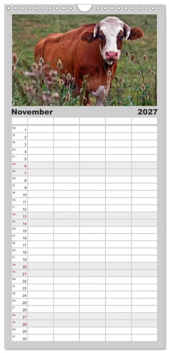 Bild: 9783594329122 | Familienplaner 2027 - Kuh und Co. mit 5 Spalten (Wandkalender, 21 x...