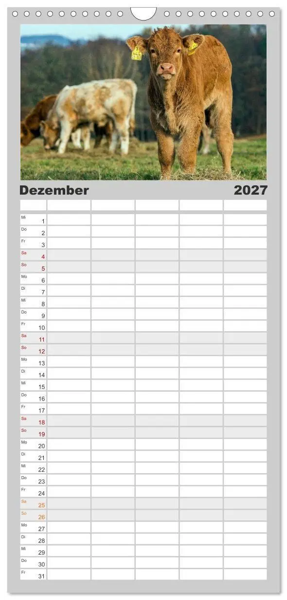Bild: 9783594329122 | Familienplaner 2027 - Kuh und Co. mit 5 Spalten (Wandkalender, 21 x...