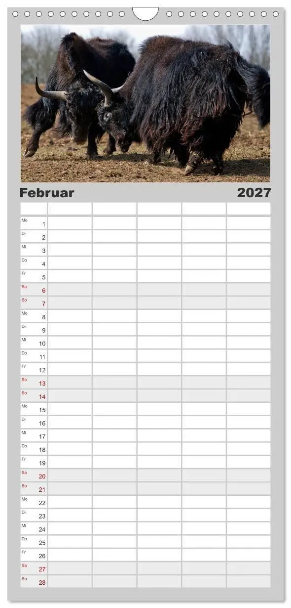 Bild: 9783594329122 | Familienplaner 2027 - Kuh und Co. mit 5 Spalten (Wandkalender, 21 x...