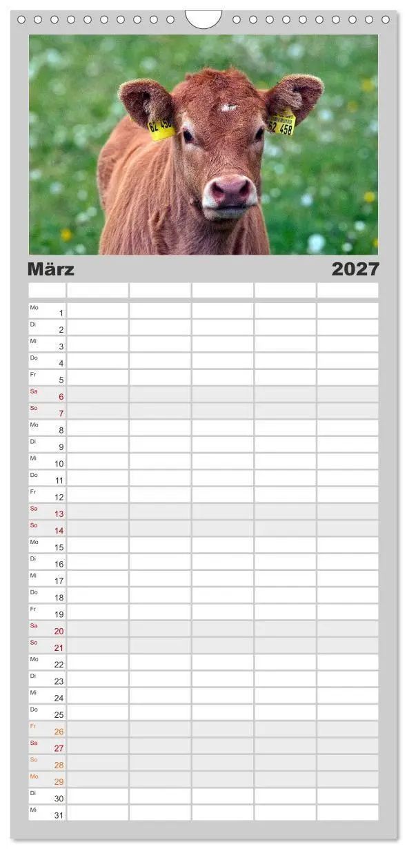Bild: 9783594329122 | Familienplaner 2027 - Kuh und Co. mit 5 Spalten (Wandkalender, 21 x...