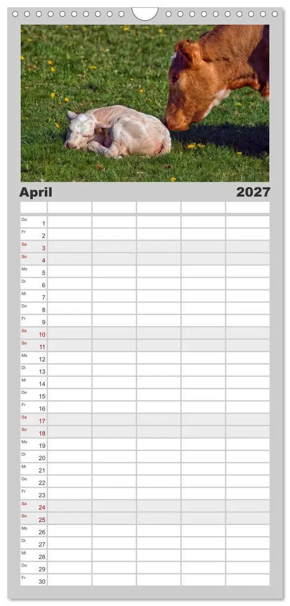 Bild: 9783594329122 | Familienplaner 2027 - Kuh und Co. mit 5 Spalten (Wandkalender, 21 x...