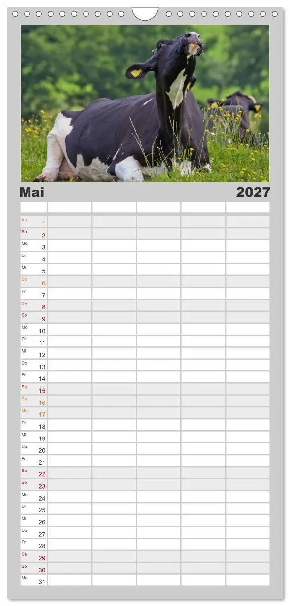 Bild: 9783594329122 | Familienplaner 2027 - Kuh und Co. mit 5 Spalten (Wandkalender, 21 x...