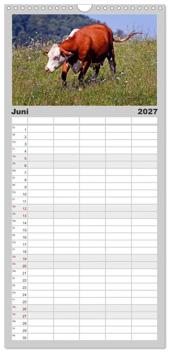 Bild: 9783594329122 | Familienplaner 2027 - Kuh und Co. mit 5 Spalten (Wandkalender, 21 x...