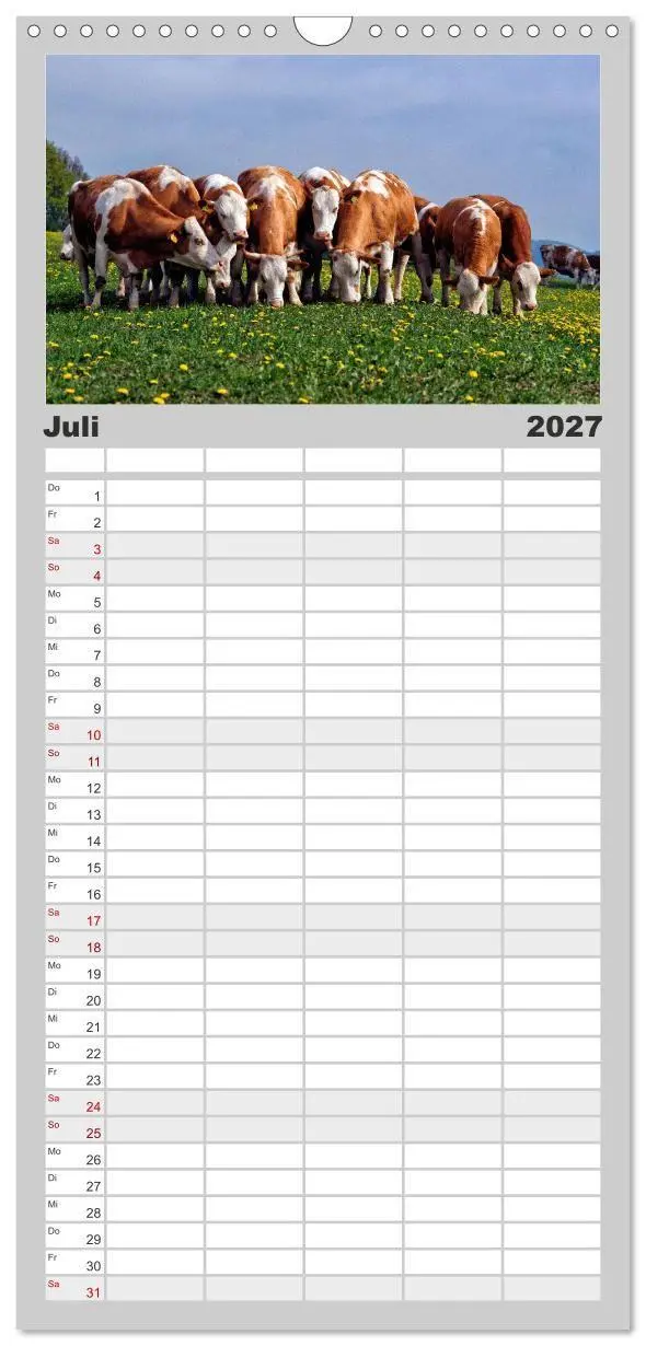 Bild: 9783594329122 | Familienplaner 2027 - Kuh und Co. mit 5 Spalten (Wandkalender, 21 x...