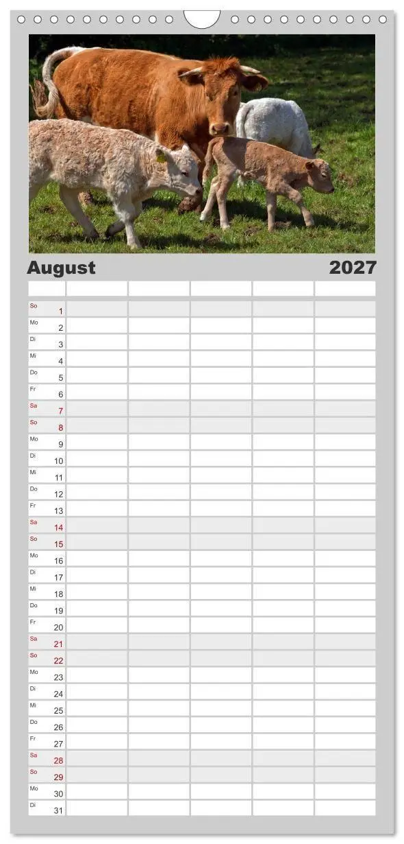 Bild: 9783594329122 | Familienplaner 2027 - Kuh und Co. mit 5 Spalten (Wandkalender, 21 x...