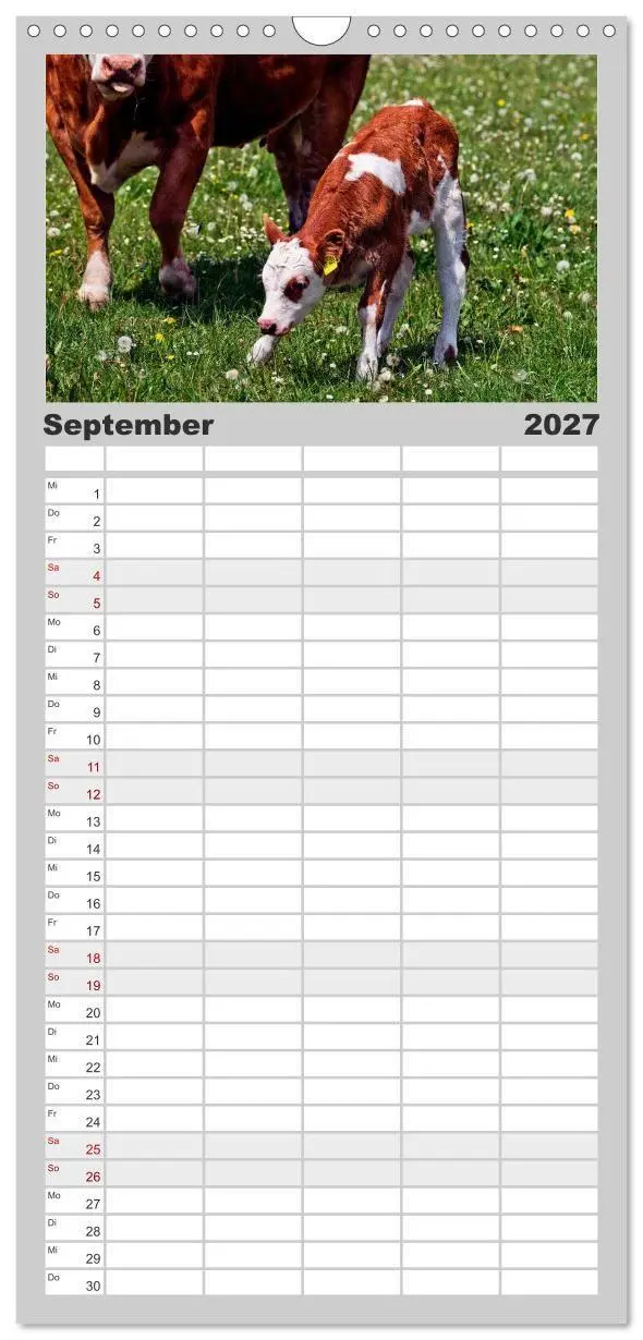 Bild: 9783594329122 | Familienplaner 2027 - Kuh und Co. mit 5 Spalten (Wandkalender, 21 x...