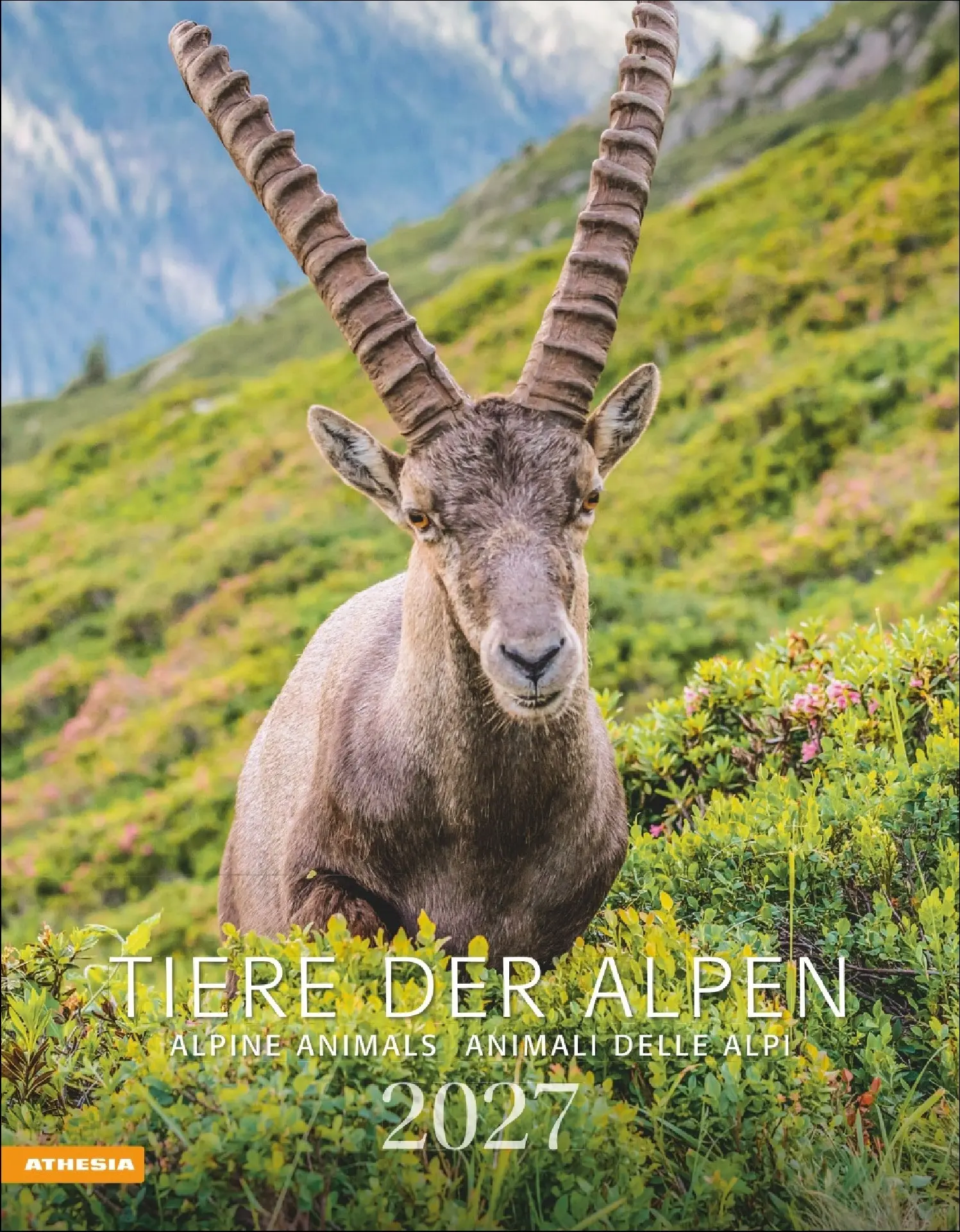 Cover: 9788868399122 | Tiere der Alpen - Kalender 2027 | Kalender | 14 S. | Deutsch | 2027