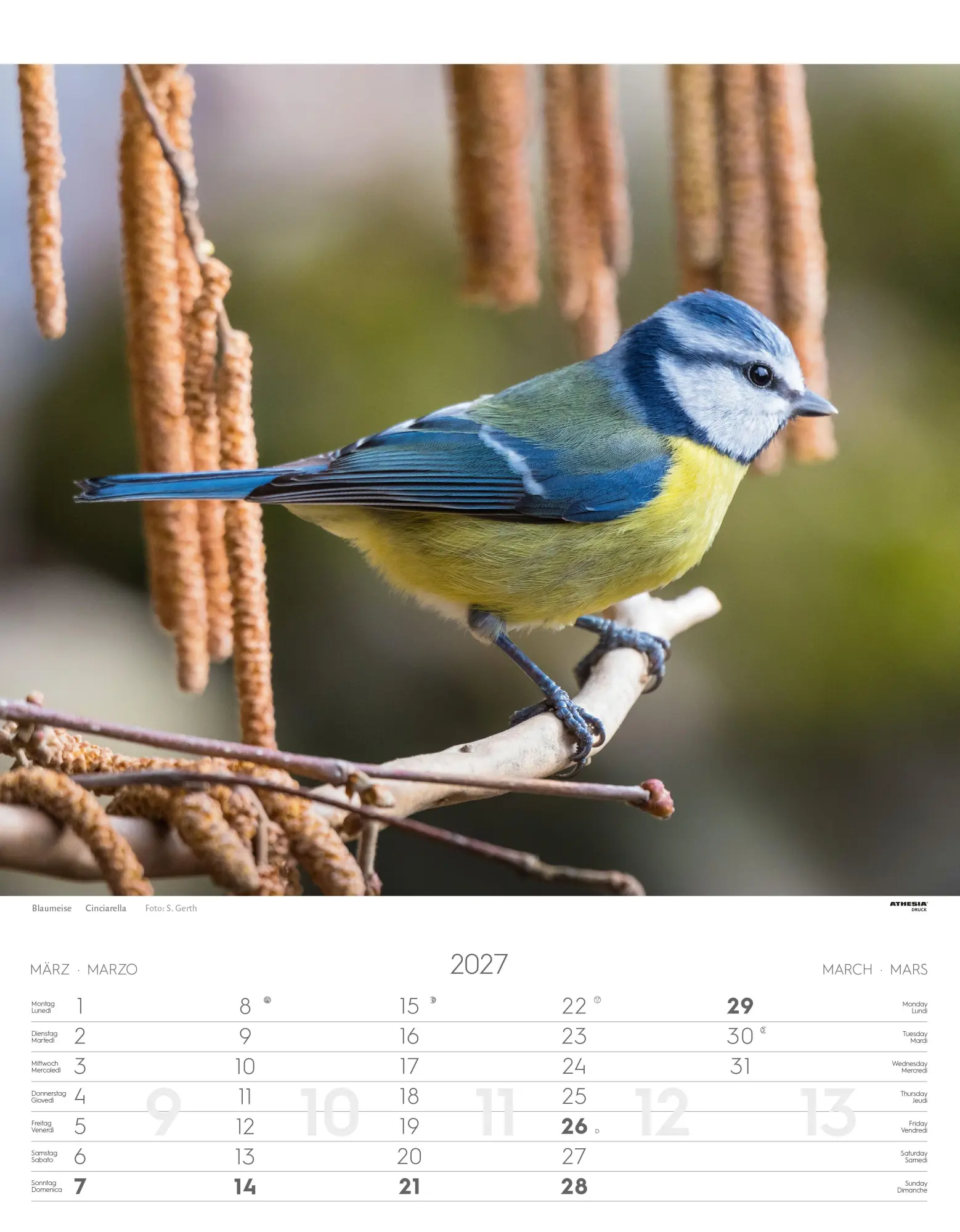 Bild: 9788868399122 | Tiere der Alpen - Kalender 2027 | Animali delle Alpi - Alpine animals