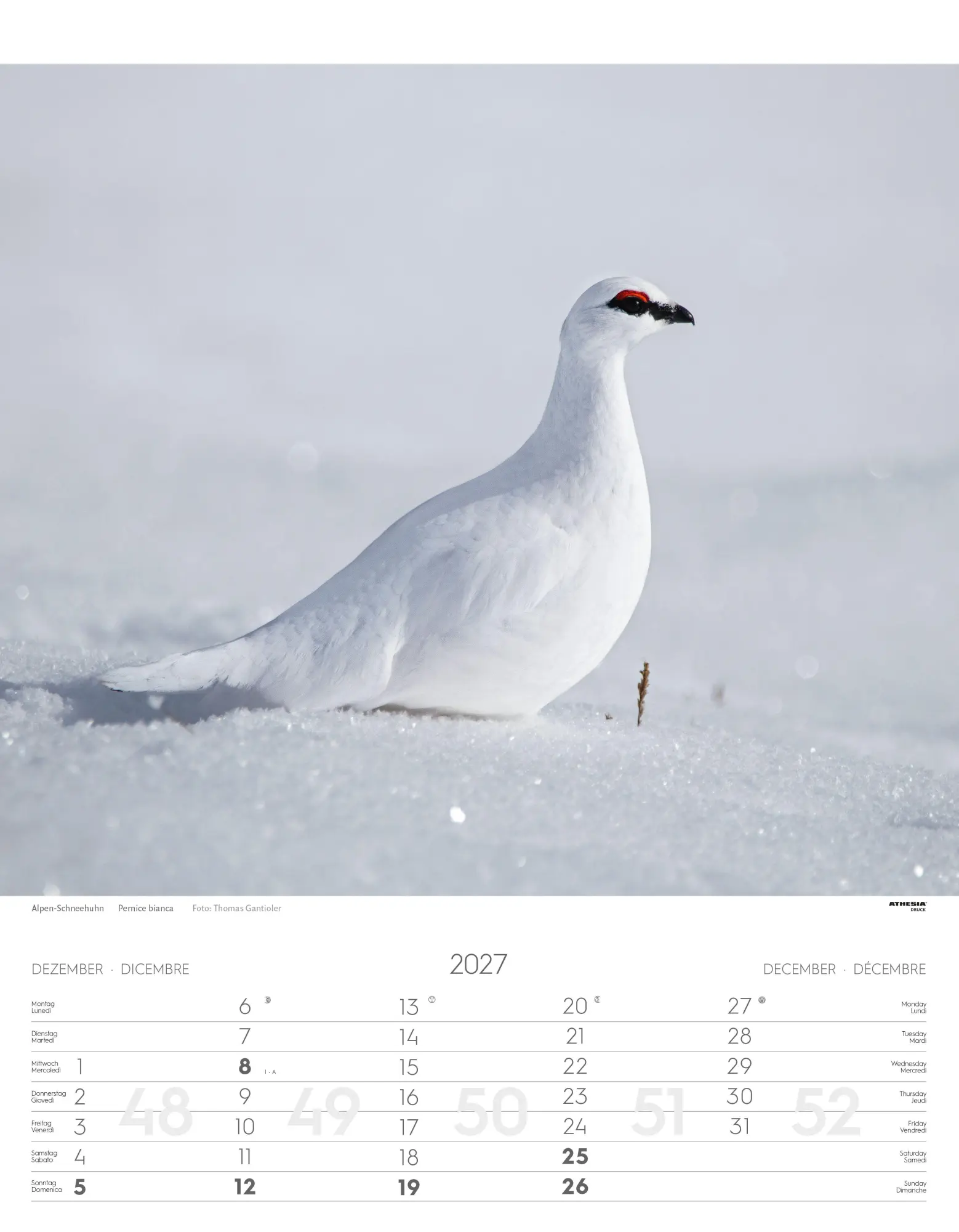 Bild: 9788868399122 | Tiere der Alpen - Kalender 2027 | Animali delle Alpi - Alpine animals