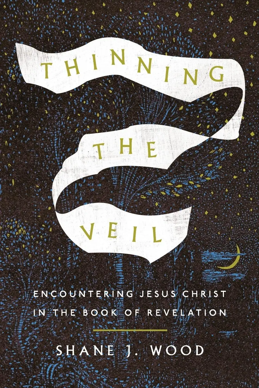 Cover: 9781514009222 | Thinning the Veil | Shane J. Wood | Taschenbuch | Englisch | 2025