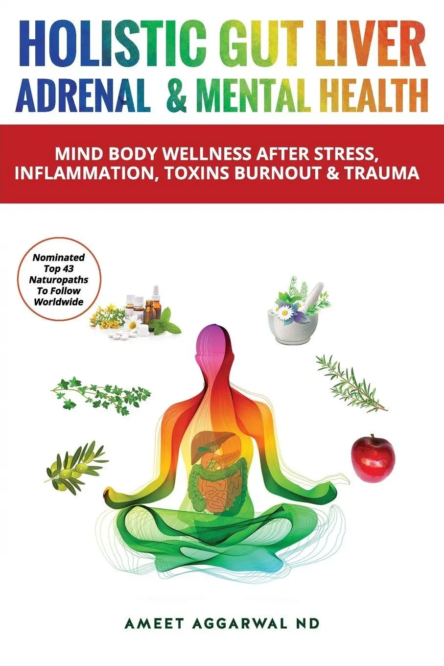 Cover: 9798995789222 | Holistic Gut, Liver, Adrenal &amp; Mental Health | Ameet Aggarwal | Buch