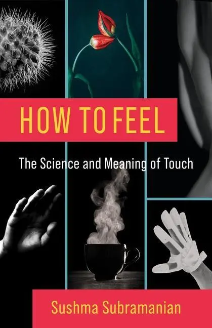 Cover: 9780231199322 | How to Feel - The Science and Meaning of Touch | Sushma Subramanian