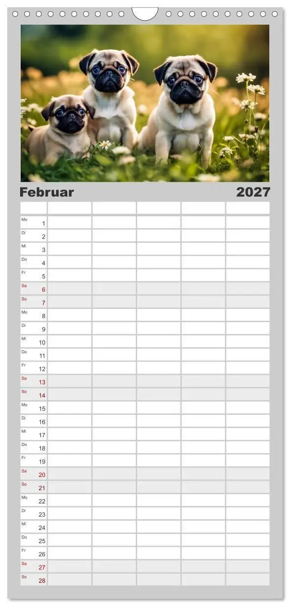 Bild: 9783594309322 | Familienplaner 2027 - Möpse - quirlige Charmebolzen mit 5 Spalten...