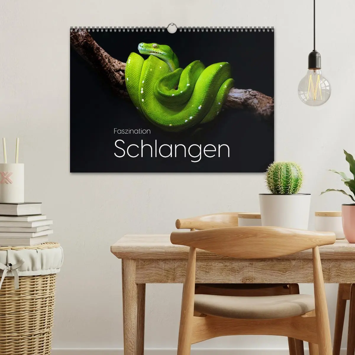 Bild: 9783457539422 | Faszination Schlangen (Wandkalender 2026 DIN A3 quer), CALVENDO...