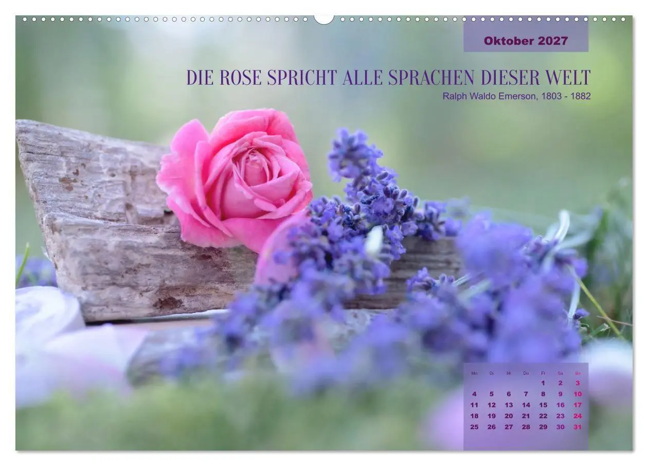 Bild: 9783569409422 | Rose Königin des Gartens (hochwertiger Premium Wandkalender 2027...
