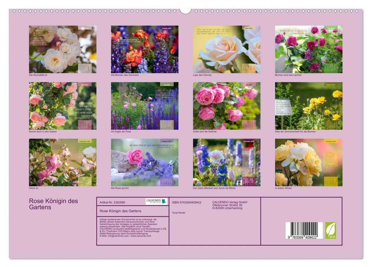 Bild: 9783569409422 | Rose Königin des Gartens (hochwertiger Premium Wandkalender 2027...