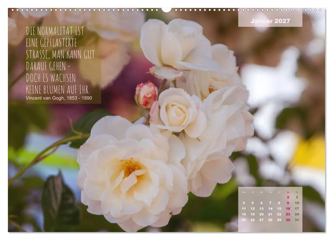 Bild: 9783569409422 | Rose Königin des Gartens (hochwertiger Premium Wandkalender 2027...