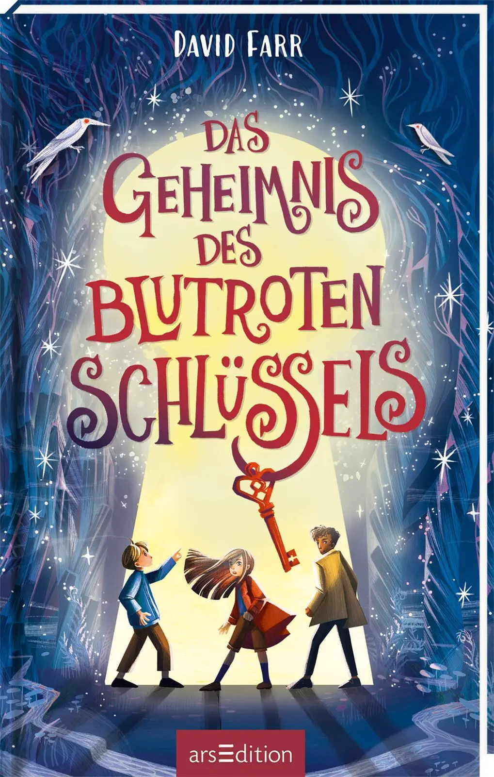 Cover: 9783845859422 | Das Geheimnis des blutroten Schlüssels (Das Buch der gestohlenen...