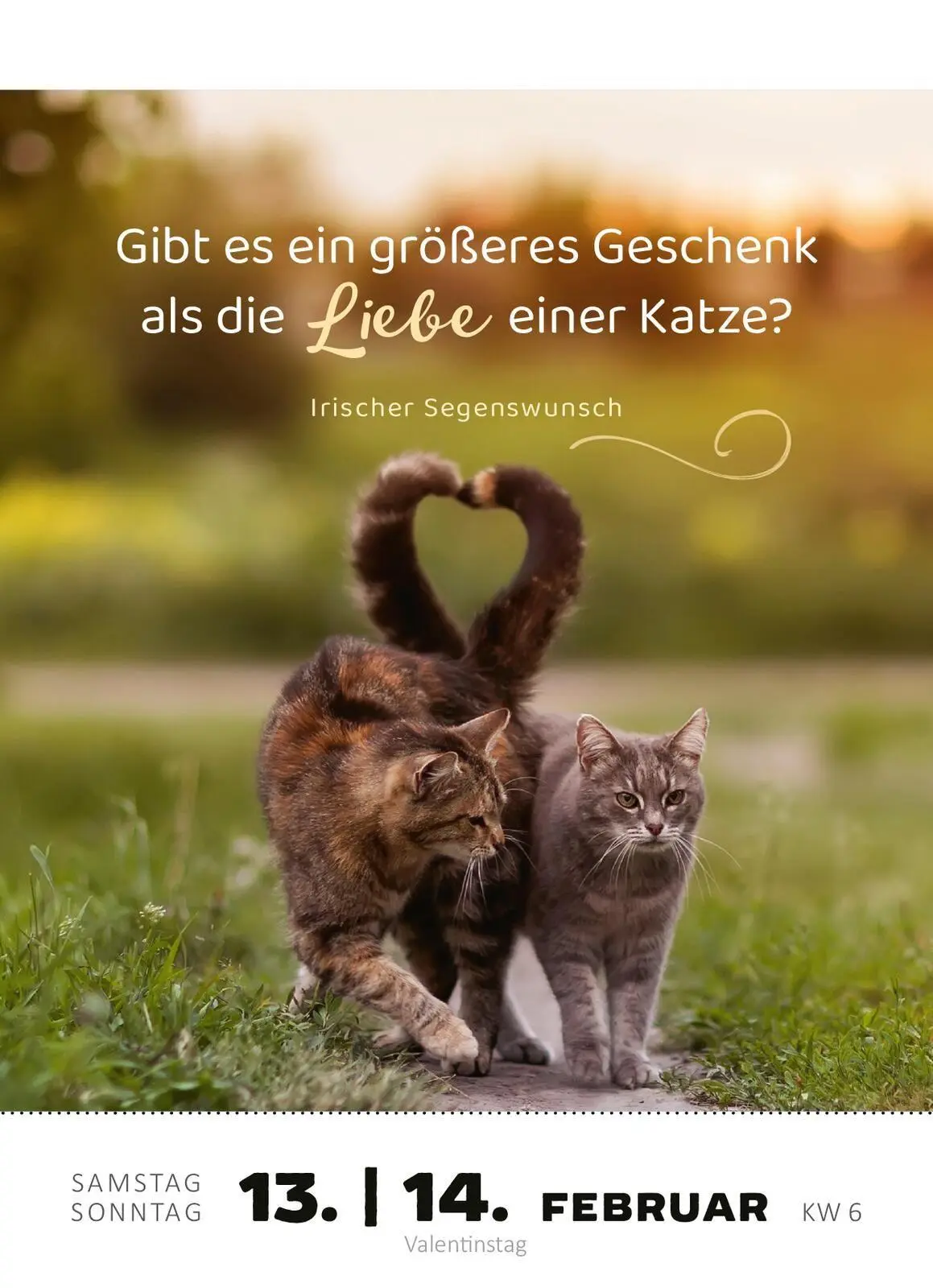 Bild: 4014489139522 | Abreißkalender Katzenweisheiten 2027 | Kalender | 640 S. | Deutsch