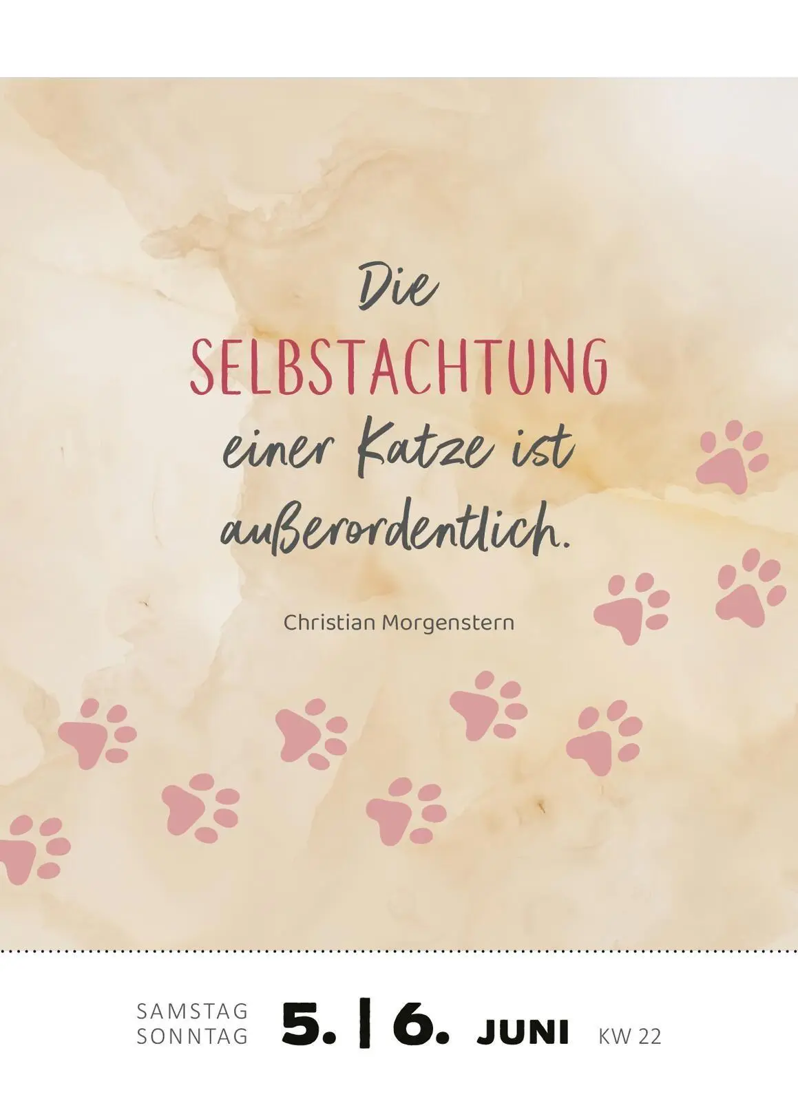 Bild: 4014489139522 | Abreißkalender Katzenweisheiten 2027 | Kalender | 640 S. | Deutsch