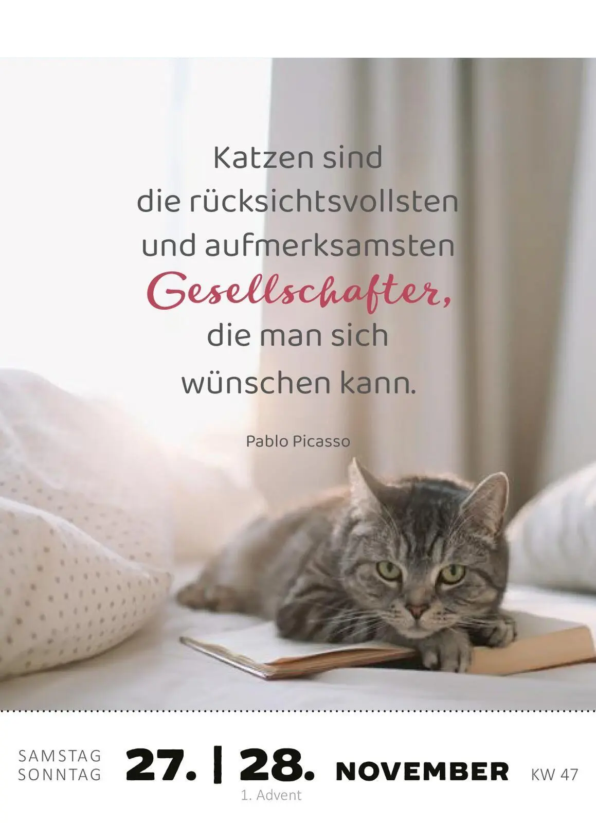 Bild: 4014489139522 | Abreißkalender Katzenweisheiten 2027 | Kalender | 640 S. | Deutsch