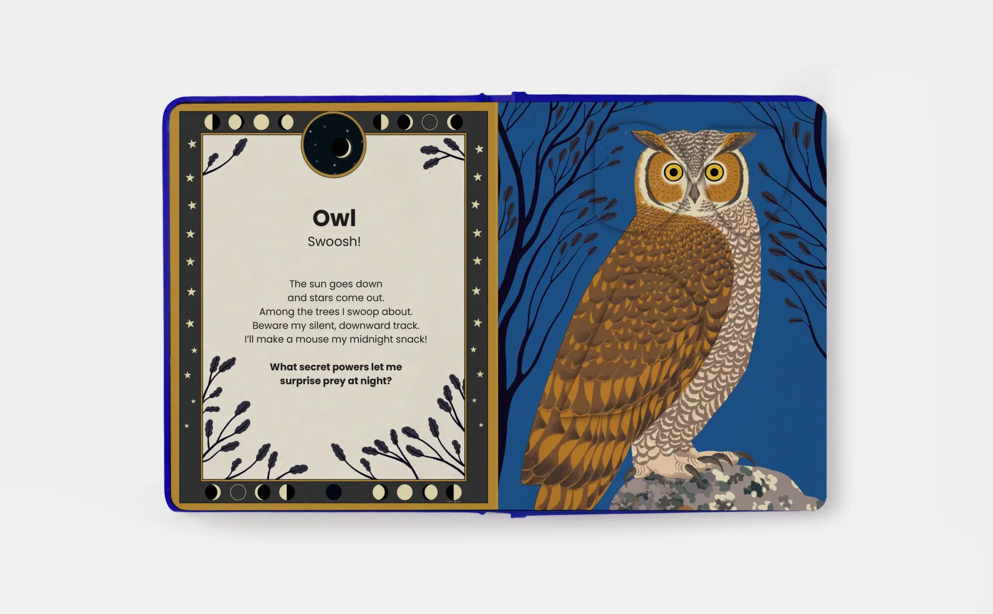 Bild: 9781838669522 | The Secret Powers of Animals | Soledad Romero Mariño | Buch | 20 S.