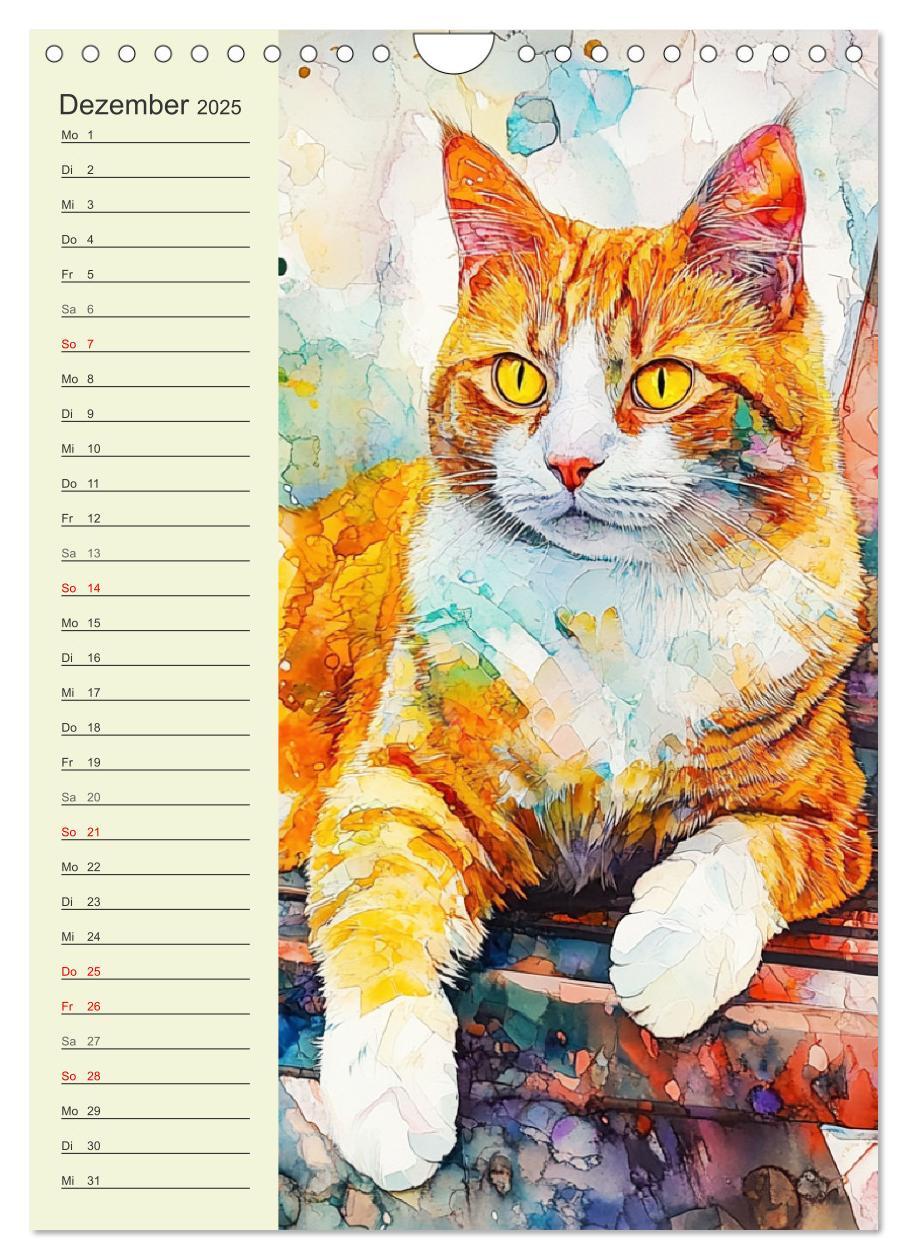 Bild: 9783457219522 | Bezaubernde Katzen. Miezen im lieblichen Aquarell-Stil...