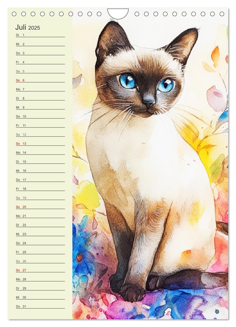 Bild: 9783457219522 | Bezaubernde Katzen. Miezen im lieblichen Aquarell-Stil...