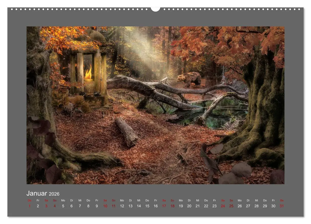 Bild: 9783457699522 | Waldgeheimnisse (hochwertiger Premium Wandkalender 2026 DIN A2...