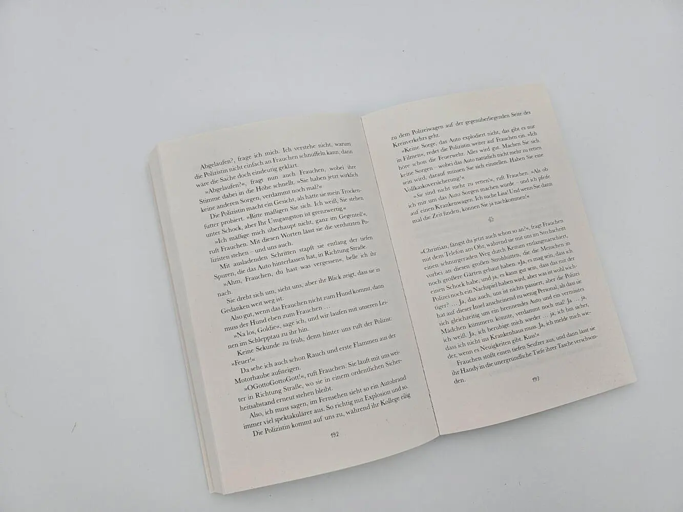 Bild: 9783492319522 | Pfotenglück - Dackel Max auf Spurensuche | Sina Beerwald | Taschenbuch