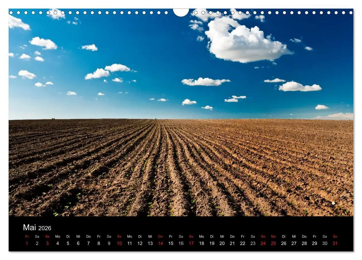 Bild: 9783516099522 | Mecklenburg - Vorpommern (Wandkalender 2026 DIN A3 quer), CALVENDO...
