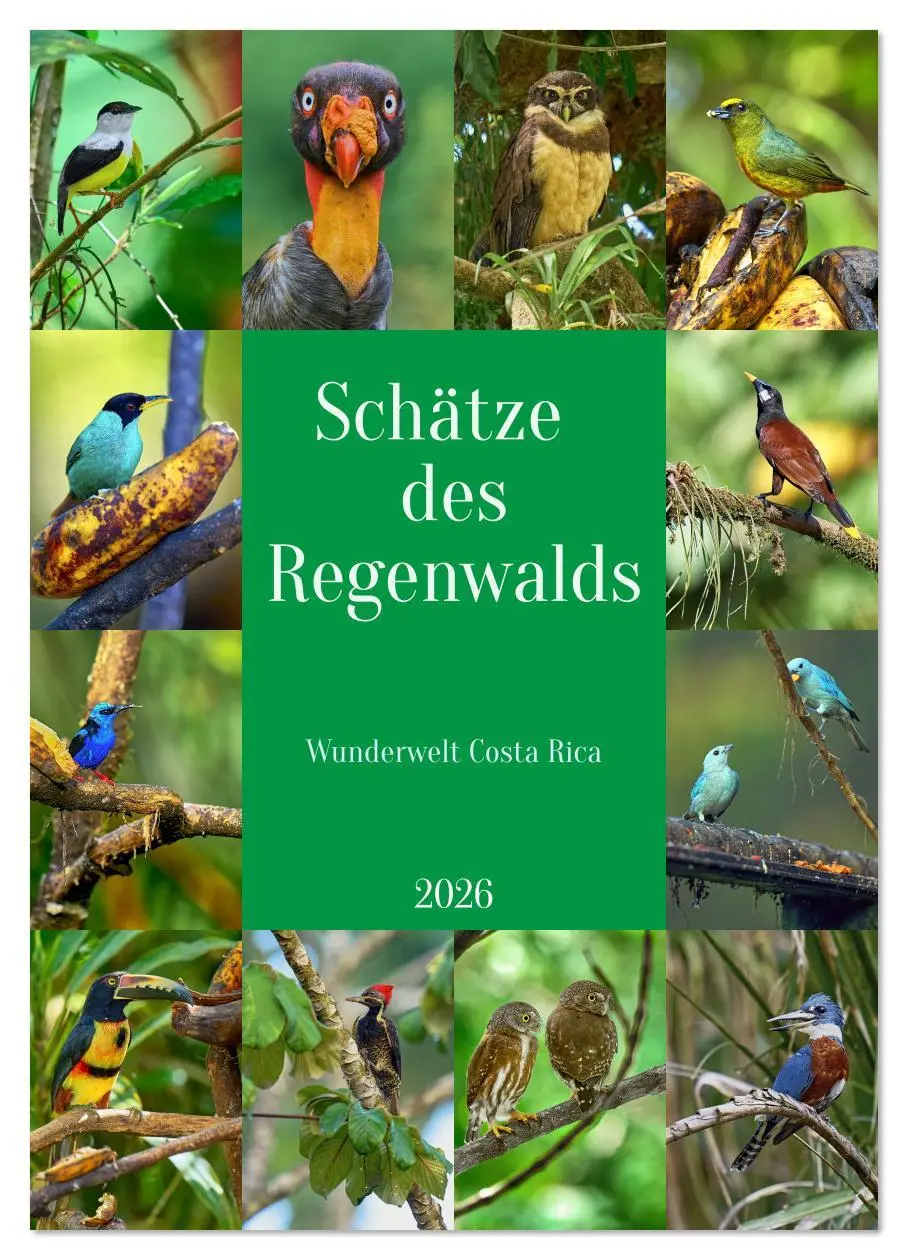 Cover: 9783516619522 | Schätze des Regenwalds (Wandkalender 2026 DIN A3 hoch), CALVENDO...