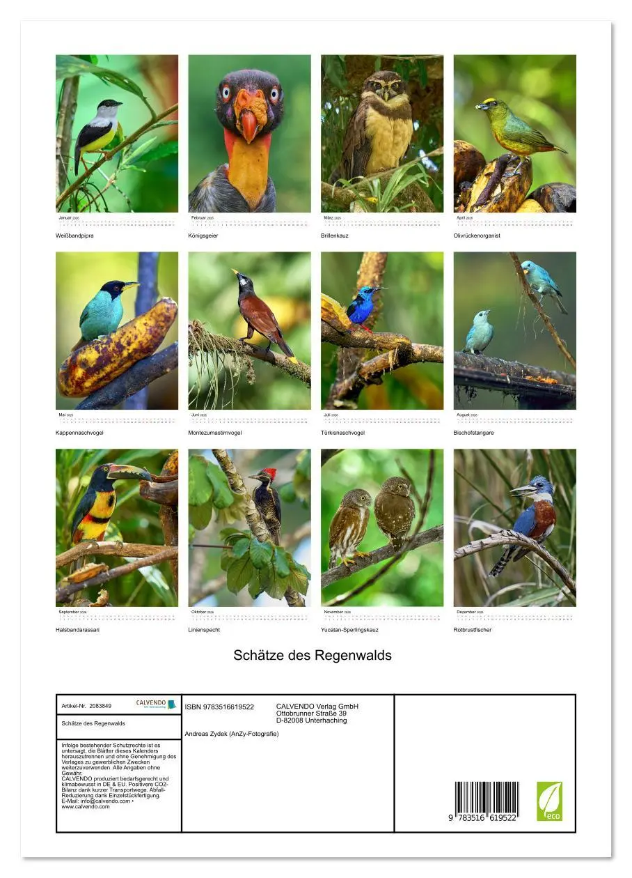 Bild: 9783516619522 | Schätze des Regenwalds (Wandkalender 2026 DIN A3 hoch), CALVENDO...