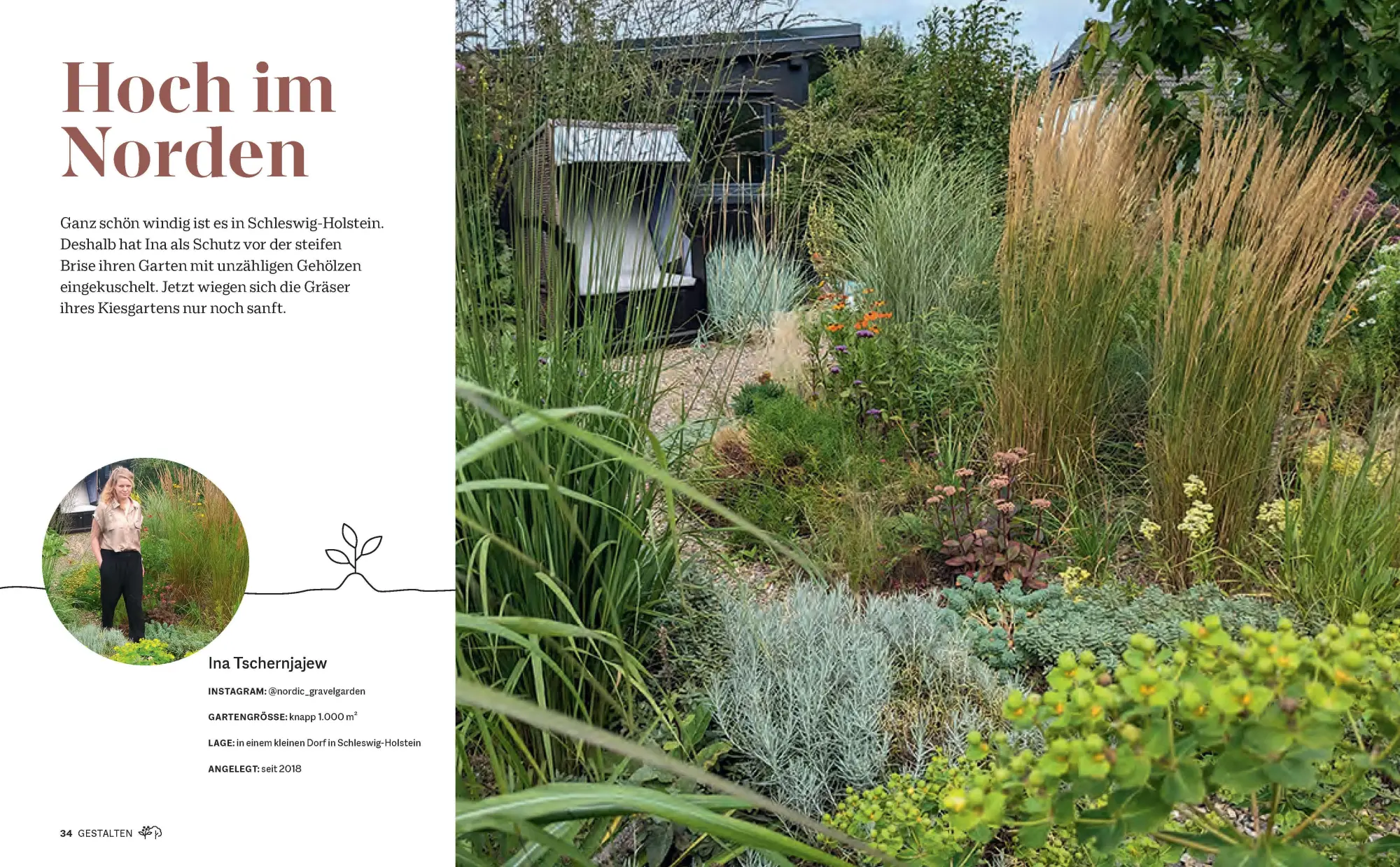 Bild: 9783791389622 | Morgen grüner | Frederike Treu | Buch | 224 S. | Deutsch | 2024