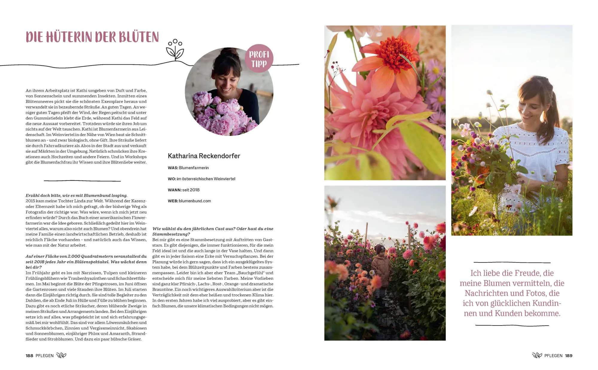 Bild: 9783791389622 | Morgen grüner | Frederike Treu | Buch | 224 S. | Deutsch | 2024