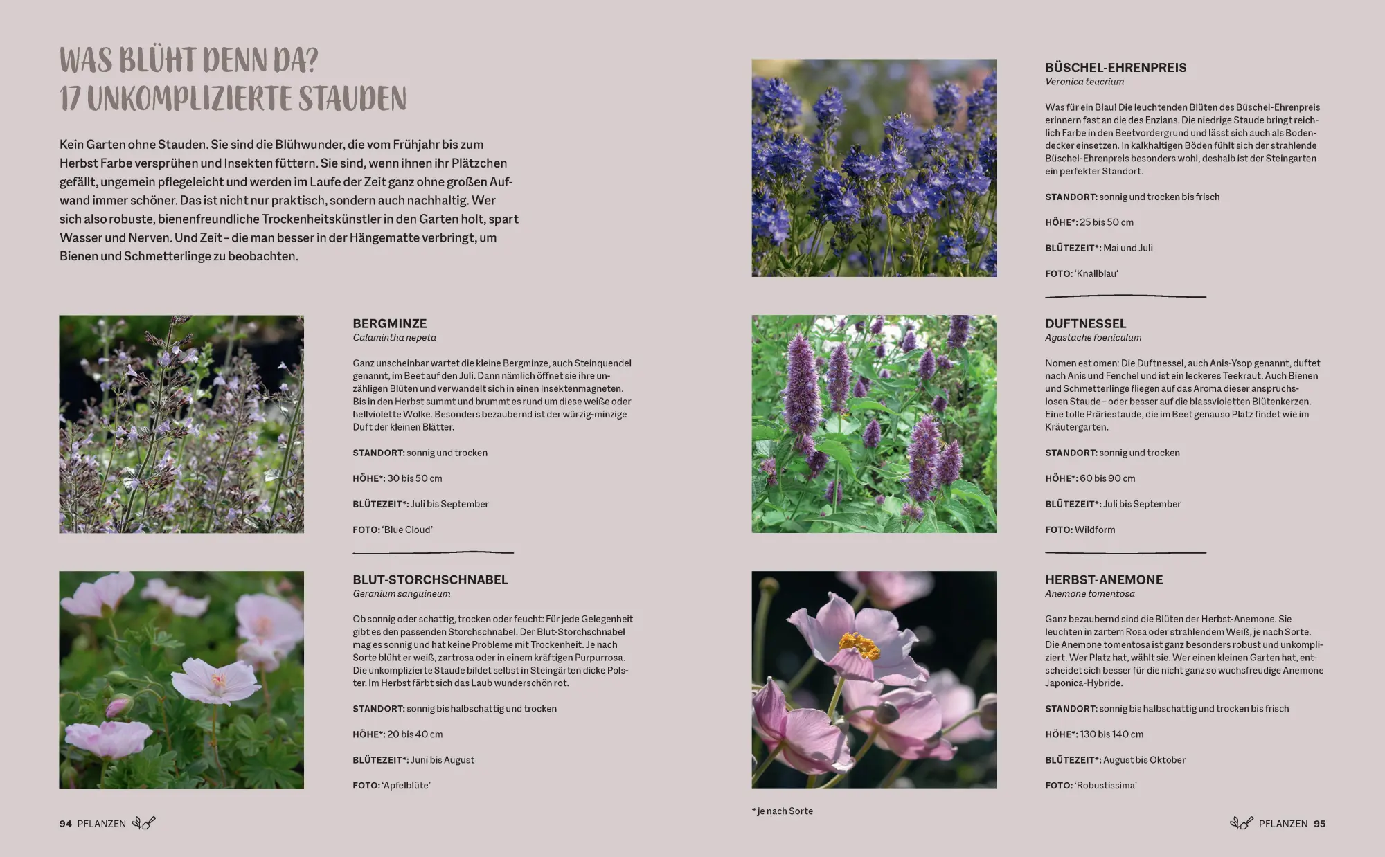 Bild: 9783791389622 | Morgen grüner | Frederike Treu | Buch | 224 S. | Deutsch | 2024