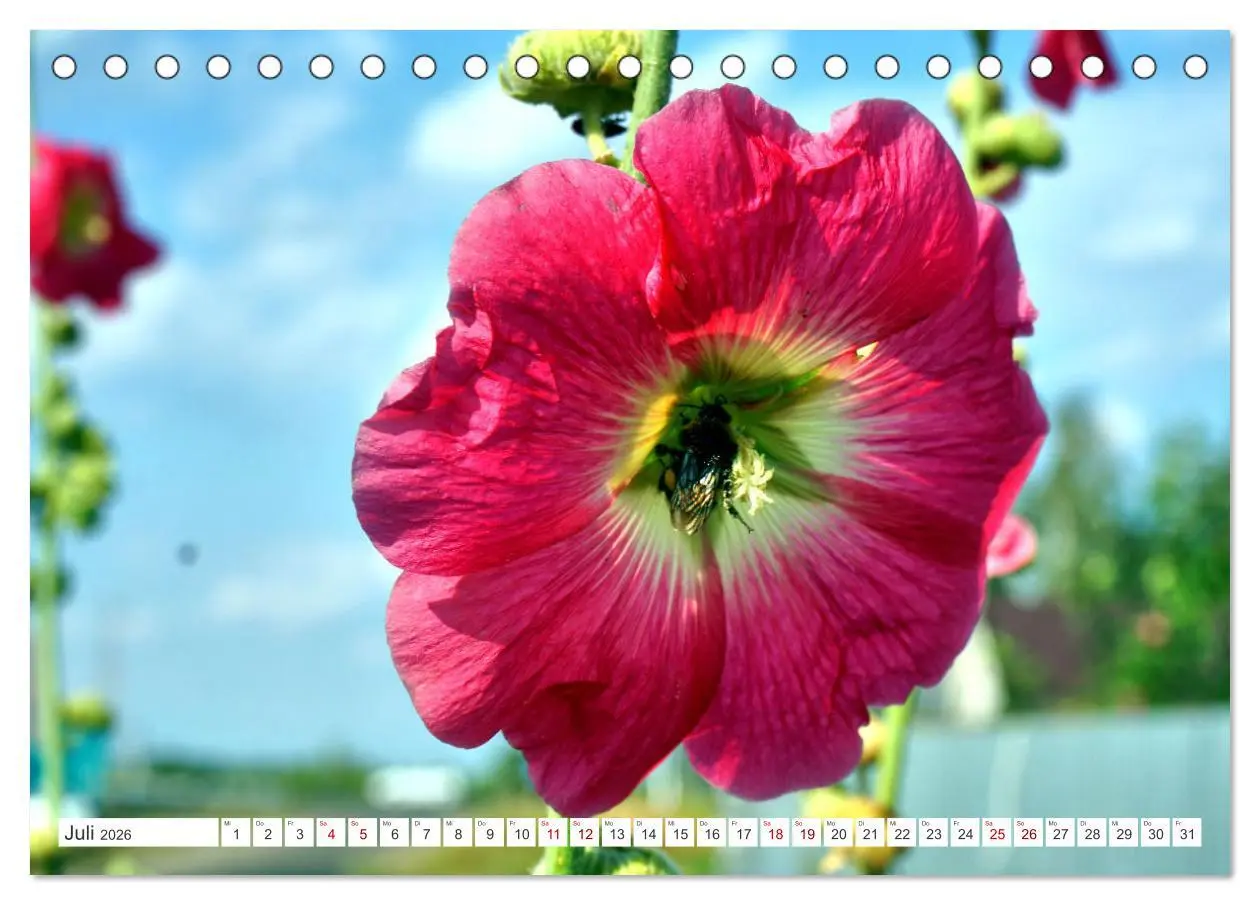 Bild: 9783457439722 | Dorfidylle - Landleben in Russland (Tischkalender 2026 DIN A5...