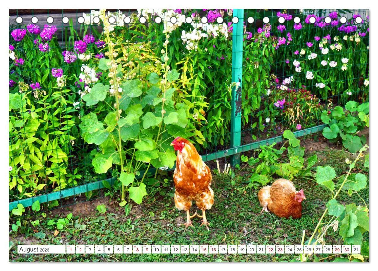 Bild: 9783457439722 | Dorfidylle - Landleben in Russland (Tischkalender 2026 DIN A5...