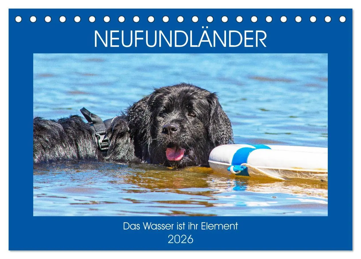 Cover: 9783457819722 | Neufundländer - Das Wasser ist ihr Element (Tischkalender 2026 DIN...