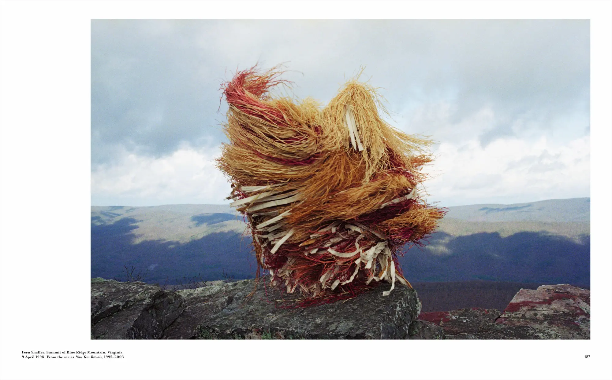 Bild: 9783791379722 | RE/SISTERS | A Lens on Gender and Ecology | Alona Pardo | Buch | 2023