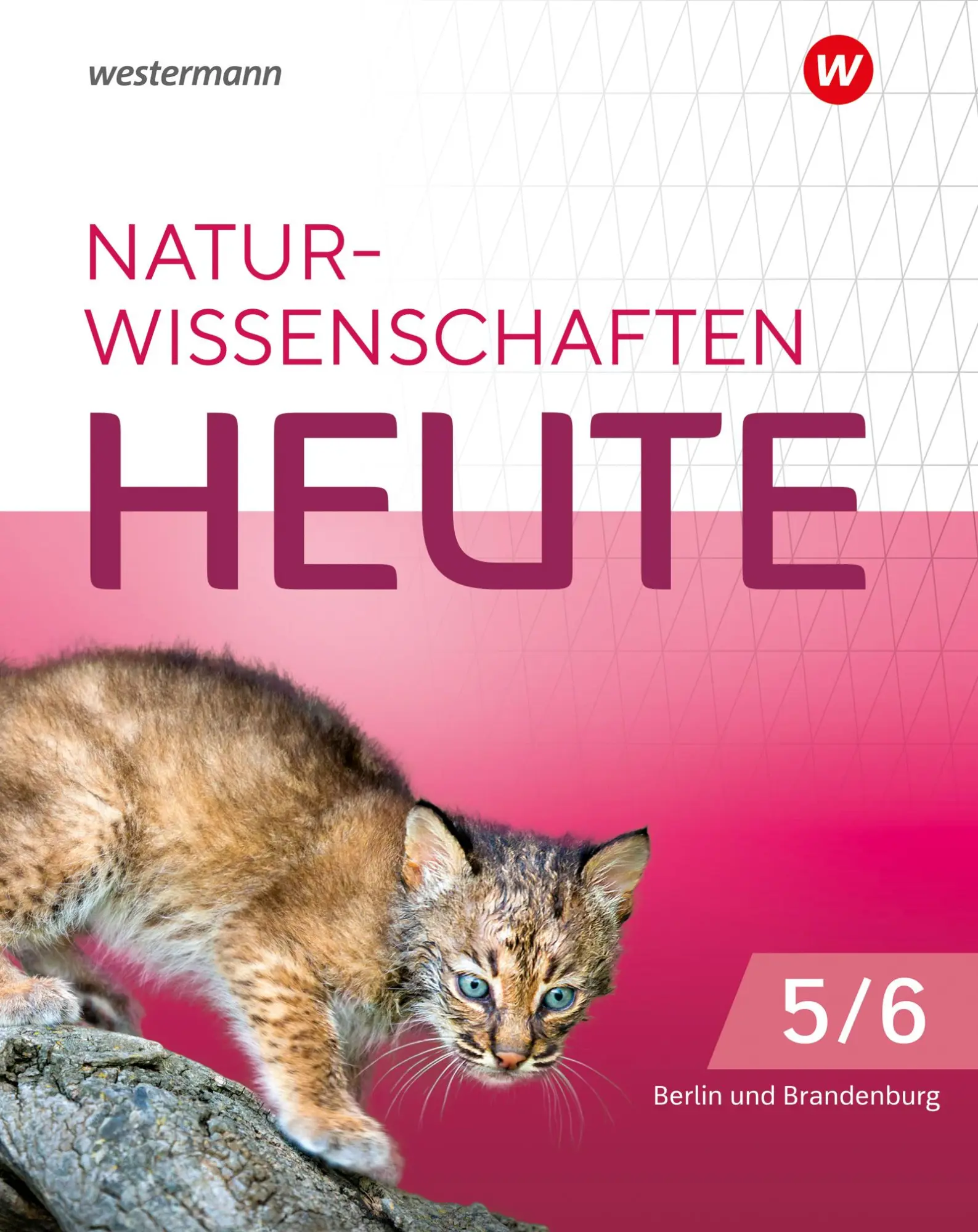 Cover: 9783141519822 | für die grundständigen Gymnasien in Berlin und Brandenburg für die...
