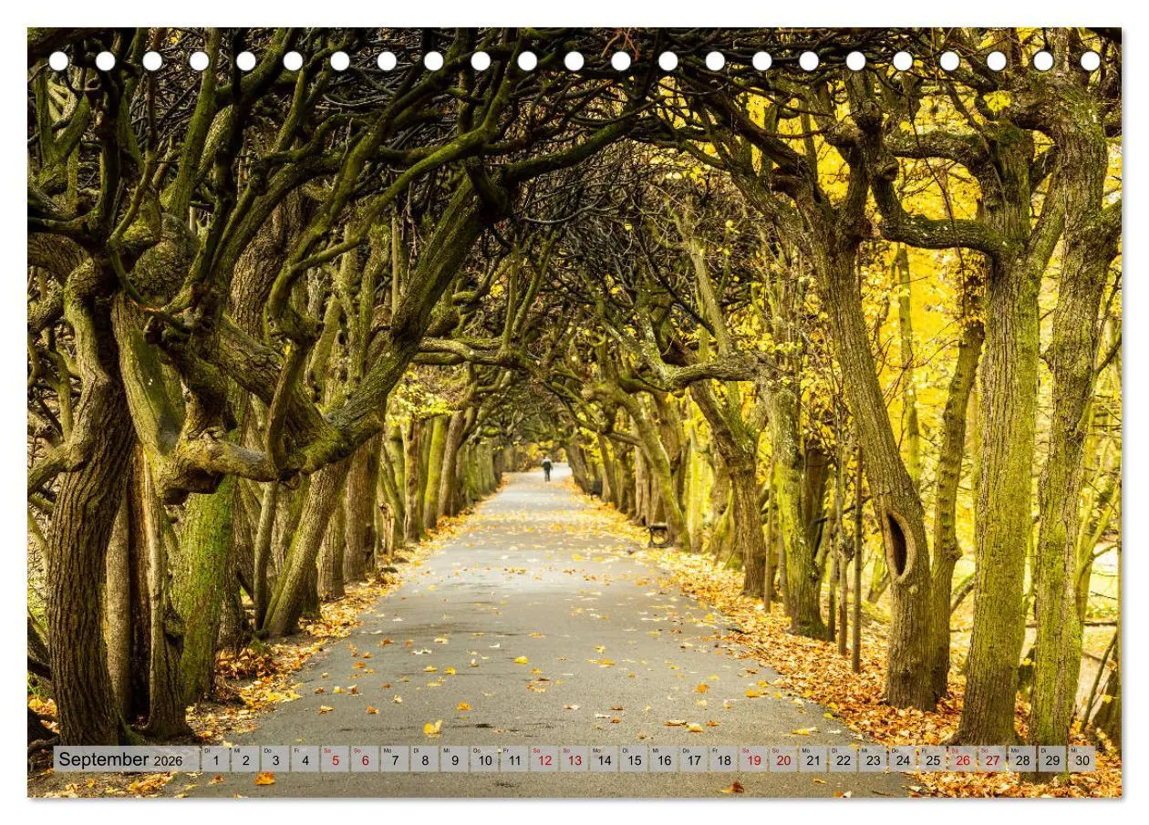 Bild: 9783457809822 | Dreistadt - Danzig, Gdingen, Zoppot (Tischkalender 2026 DIN A5...