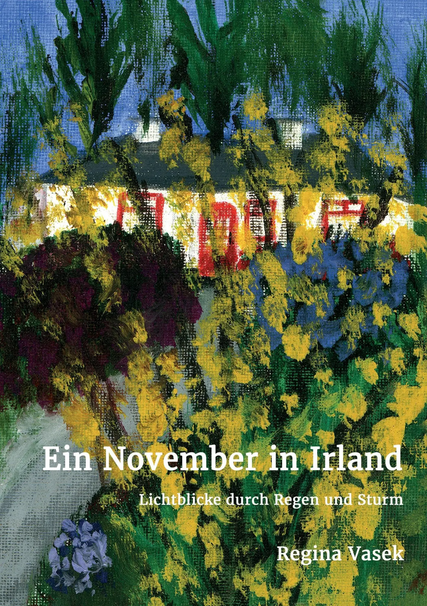 Cover: 9783734559822 | Ein November in Irland | Lichtblicke durch Regen und Sturm | Vasek