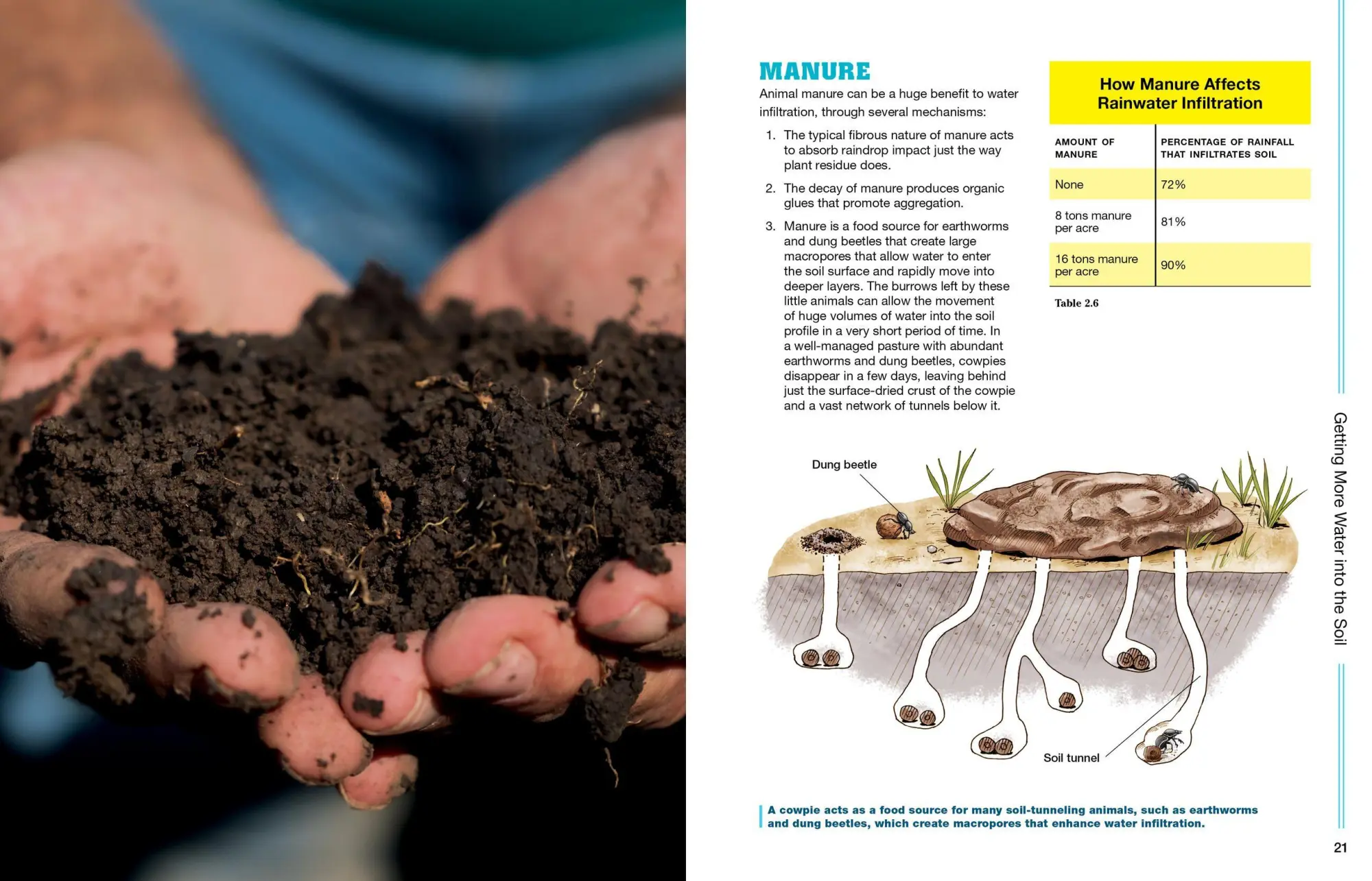 Bild: 9781635860023 | The Drought-Resilient Farm | Dale Strickler | Taschenbuch | Englisch