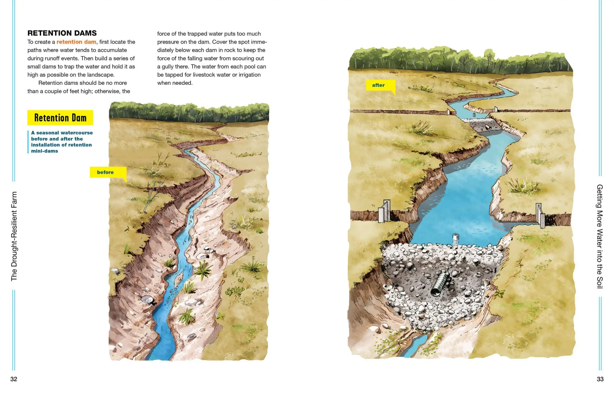 Bild: 9781635860023 | The Drought-Resilient Farm | Dale Strickler | Taschenbuch | Englisch