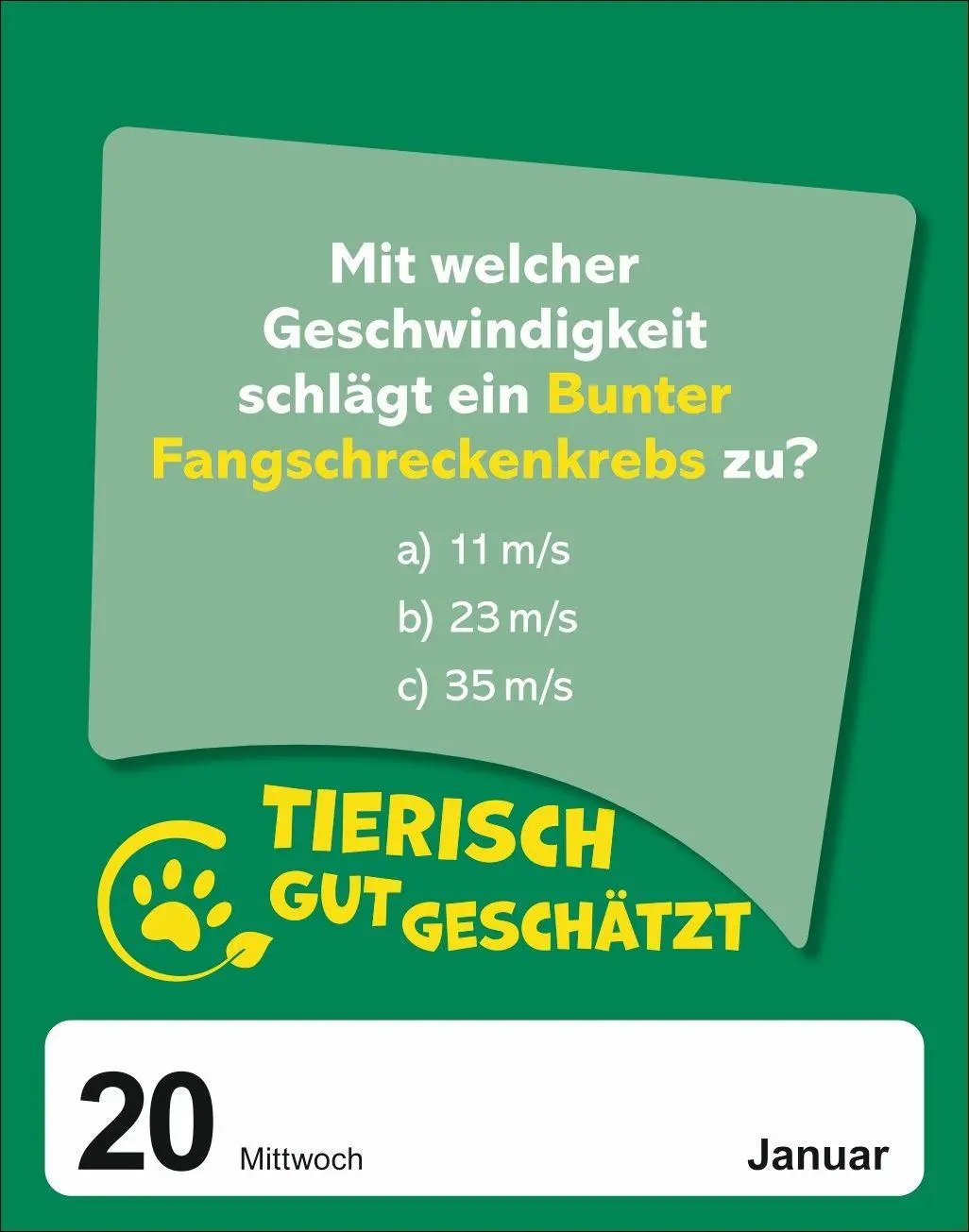 Bild: 9783840040023 | Was schätzt du denn? Tagesabreißkalender 2027 - Knifflige...